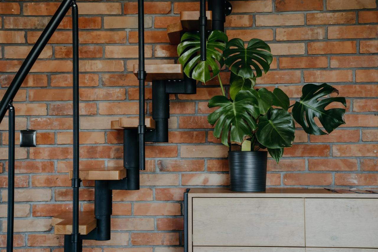 Osada Witow - Apartament „Czerwone Wierchy” Eksteriør billede
